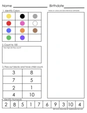 Kindergarten Testing